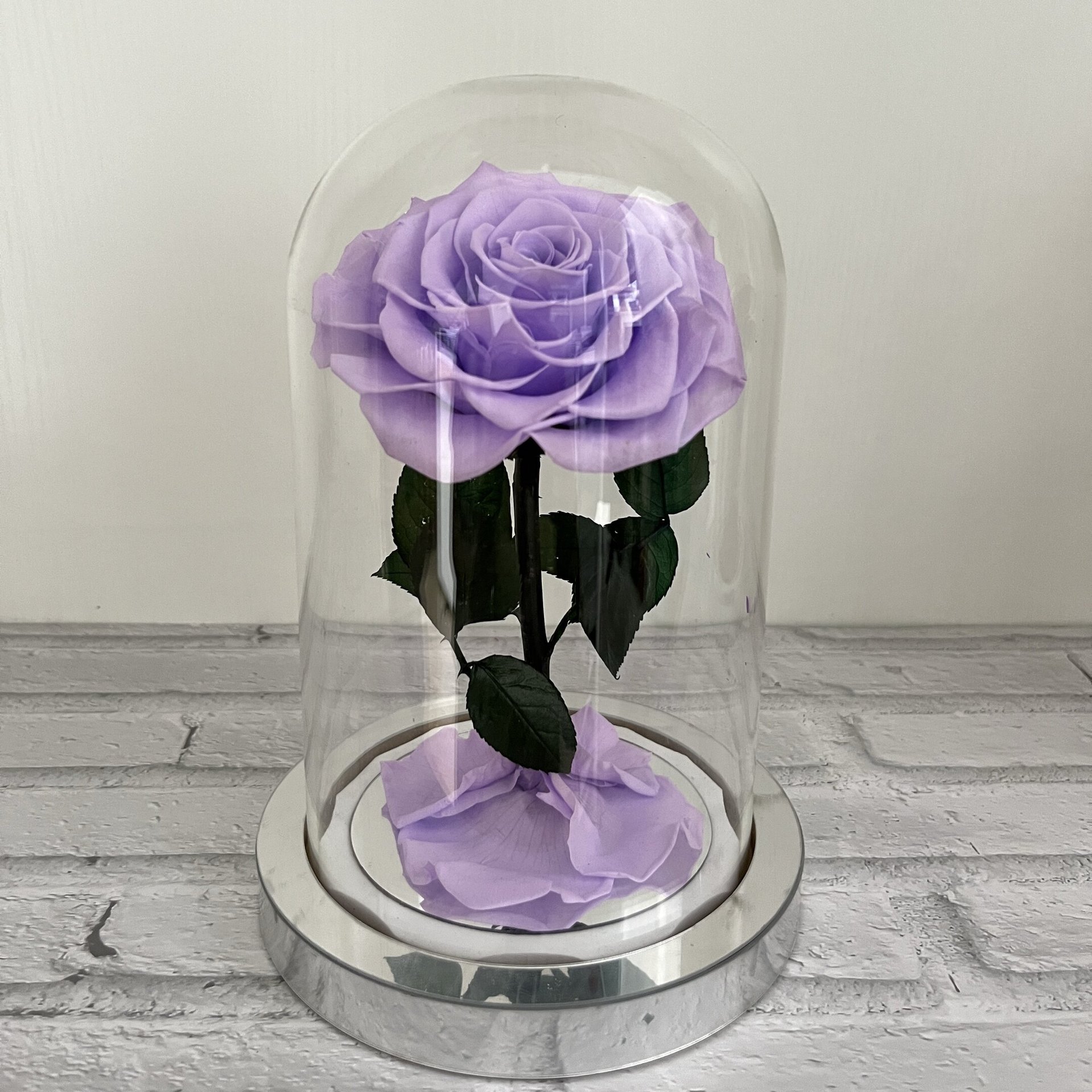 Fond argenté violet clair sans lampe avec boîte cadeau