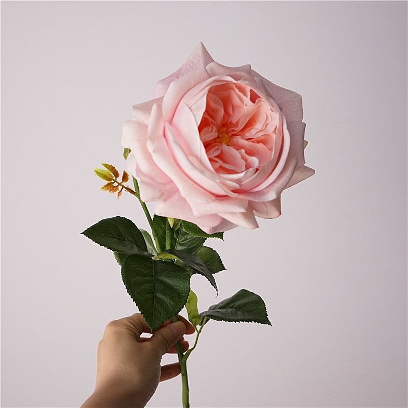 Sensation hydratante au toucher Juliet rose-rose clair