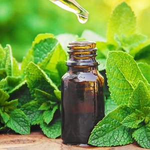 Pasokan pabrik Kigelia minyak ekstrak Kigelia ekstrak Afrika kualitas tinggi - Product Image 2