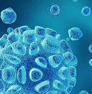 AELAB臨床食品医薬品質量分析装置自動微生物質量分析検出システム