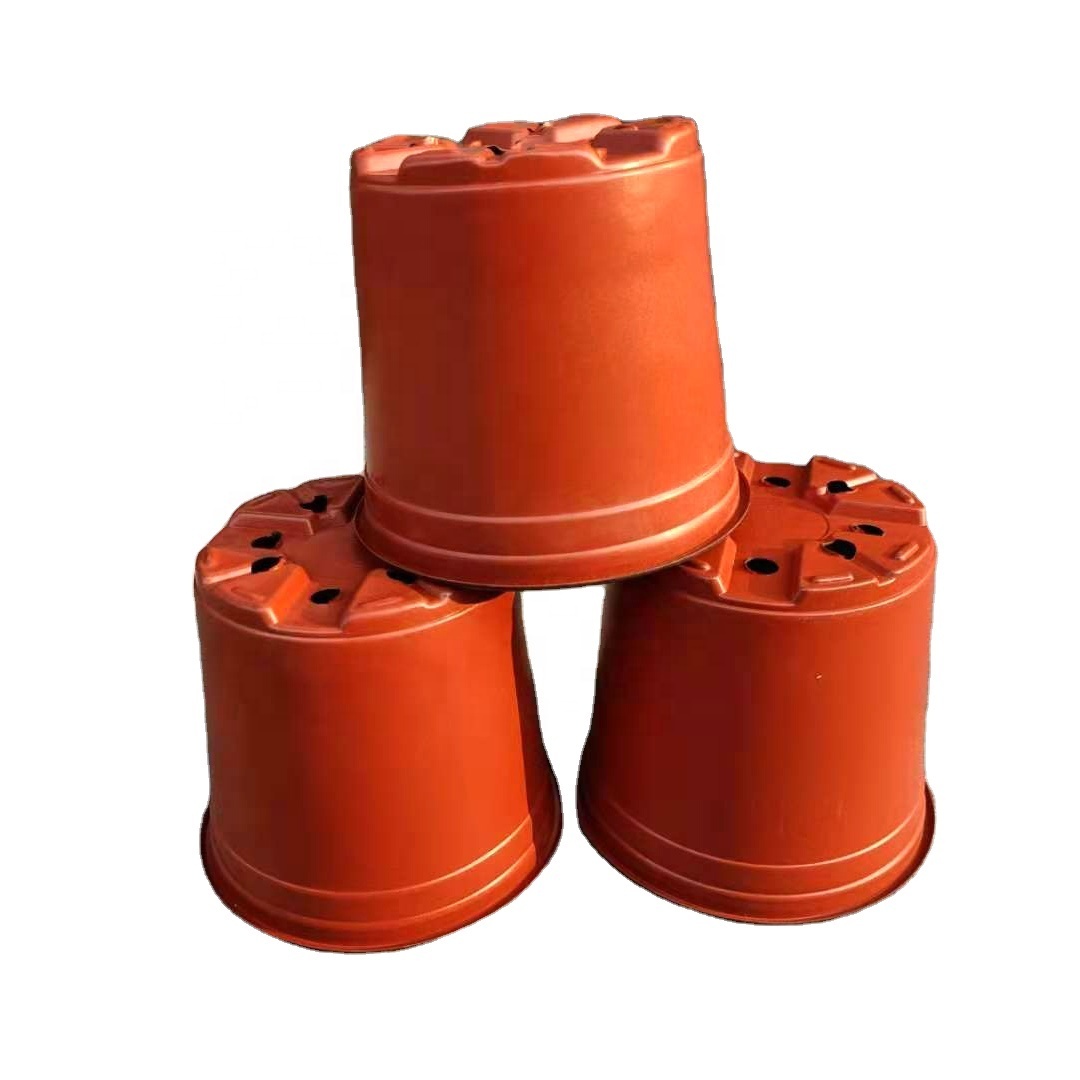 terracota