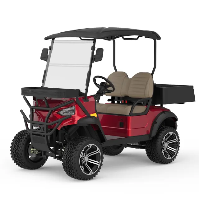 Borcart Elektro fahrzeug Fabrik Einzigartiges Design 2 4 6-Sitzer Golf wagen Li Batterie Go Karts Elektrischer Golf wagen Mit Tail board