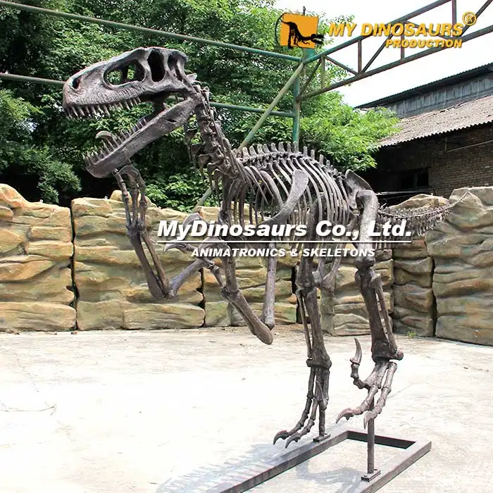 Inosauro ossil tahraptor inosauro