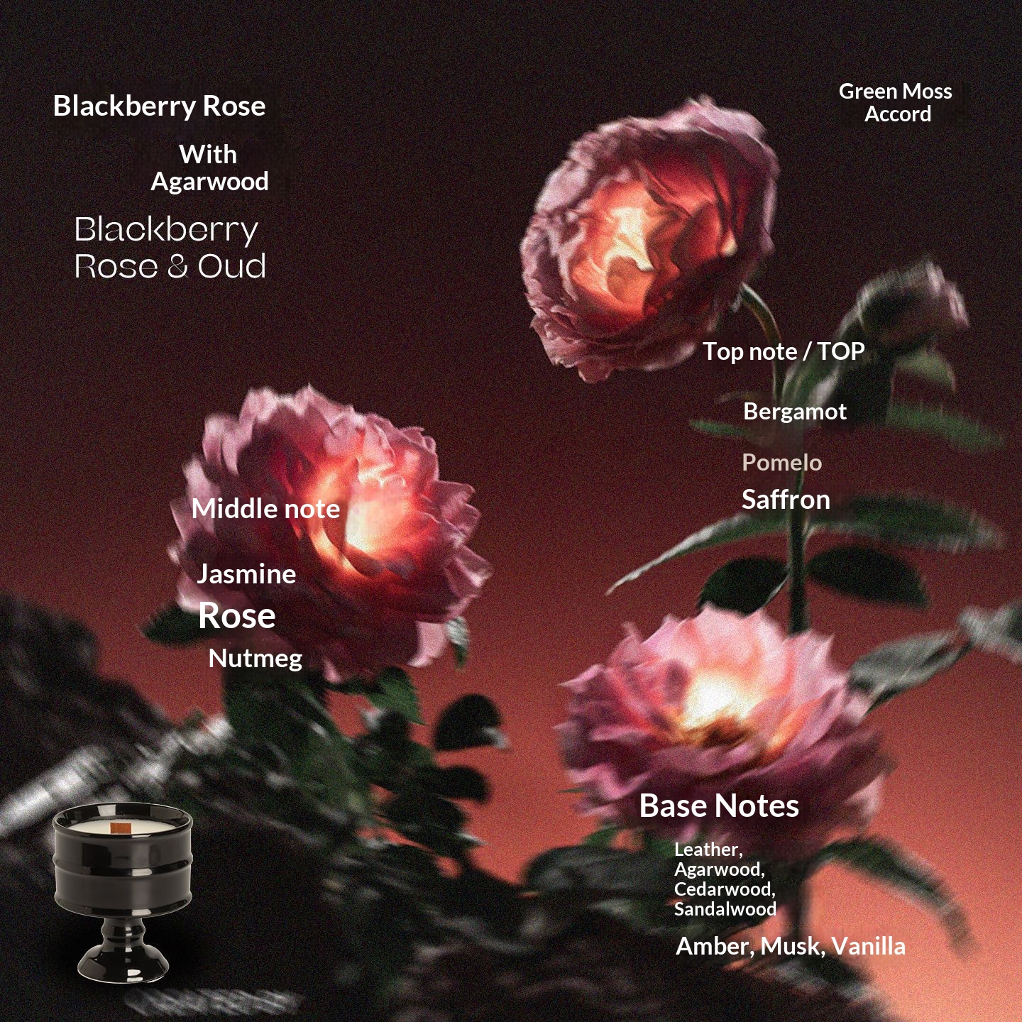 Black Cup - Blackberry Rose and Agarwood