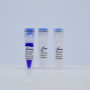 Tinzyme XbaI Restriction Endonuclease Suitable for Rapid Enzymatic Digestion of Plasmid DNA, PCR Products, or Genomic DNA. - Product Image 3