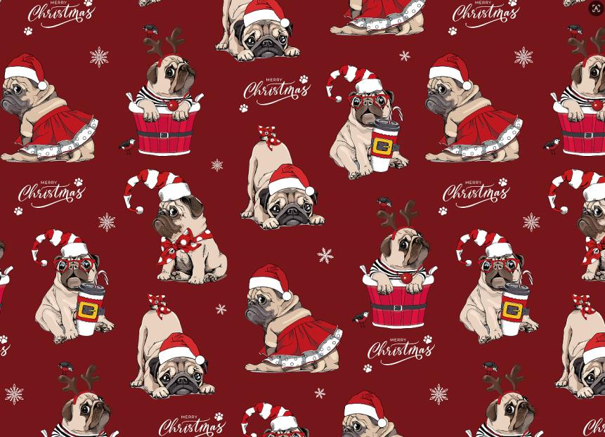 MAY-JDSD-DOG-RED-1R17-5M