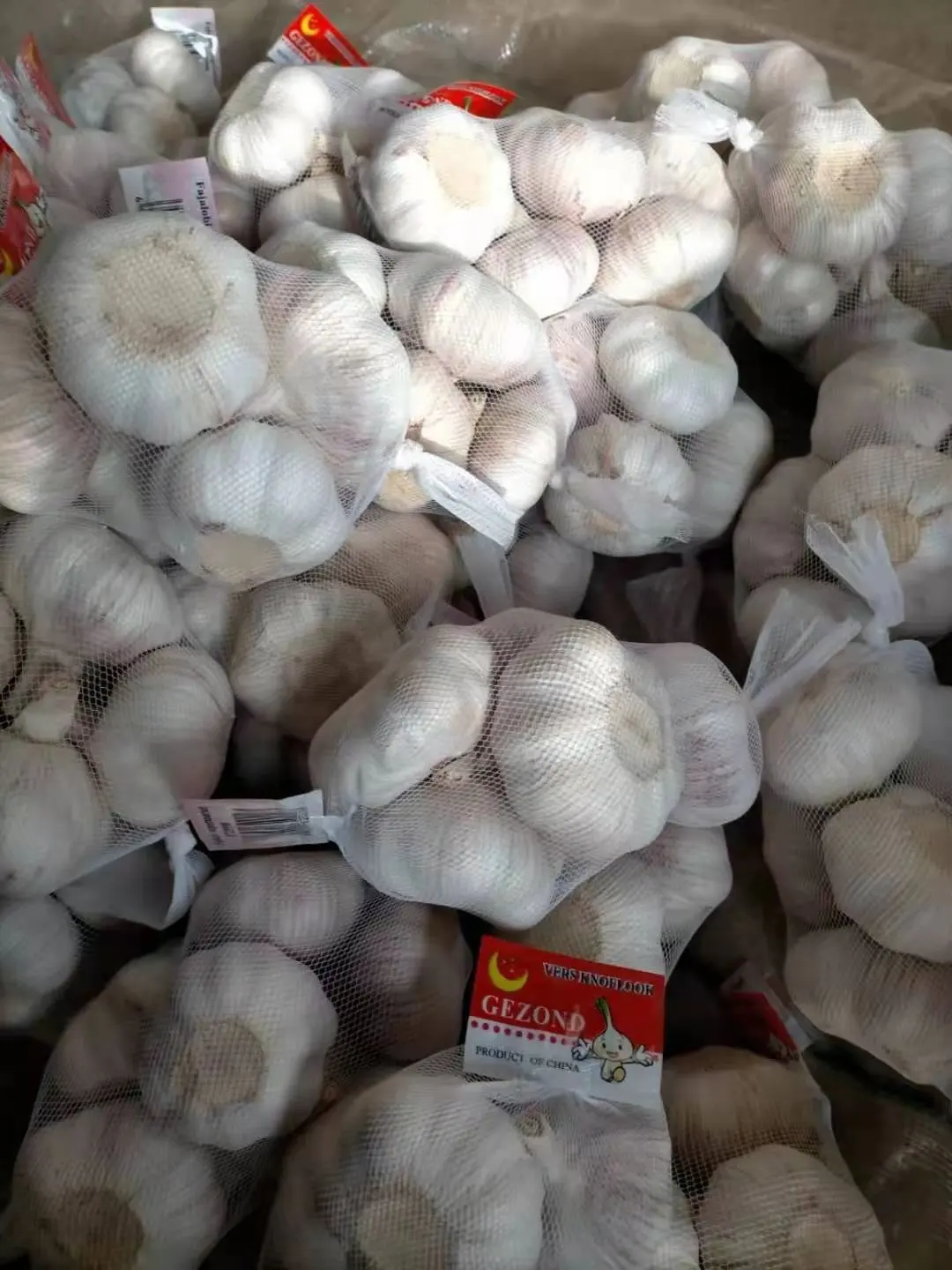 Fornitore di fabbrica normale aglio bianco e bianco puro aglio bianco fresco cinese 2023 tendenza e elenco dei prezzi dell'aglio