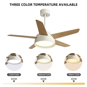 Hiện đại phong cách Bắc Âu tối giản quạt lớn Đèn LED trần ánh sáng <span class=keywords><strong>fan</strong></span> hâm mộ từ xa khá ưa thích màu đen thông minh quạt trần với ánh sáng - Product Image 5