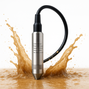 BST 200m 0.5%FS Waterproof Anti-Clogging <strong>Level</strong> <strong>Sensor</strong> with Pervious Stone Tip for Deep Well Monitoring - Product Image 2