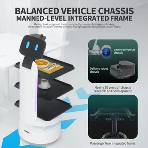 Robot de entrega comercial con sensor de evitación de obstáculos de ultrasonido de diseño humanoide inteligente - Product Image 6