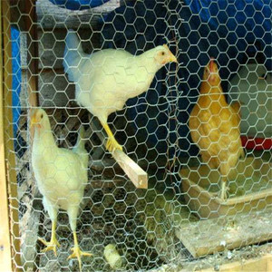 Rete metallica esagonale alta 6 piedi/rete metallica esagonale di pollo - Product Image 6