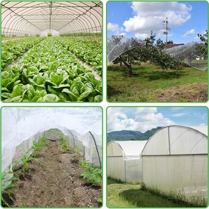 UV Protected 100% Virgin HDPE Plant Protection Pest Mosquito Screen Fabric Wholesale Anti Insect <strong>Netting</strong> for <strong>Gardens</strong> - Product Image 6