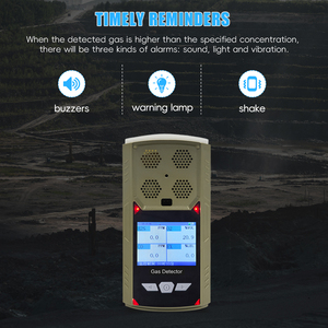 Detectores precisos 4G/WIFI/LoRa Analizadores de gas inflamables O2/H2S/CO con instalación industrial de alarma de gas combustible fija - Product Image 6