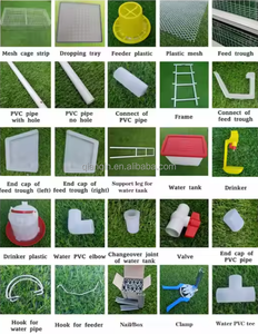 Qianqin bán tốt nhất một loại trứng gà lớp lồng ở Nam Phi giá thấp, giá tốt trứng lồng gà lồng. - Product Image 5