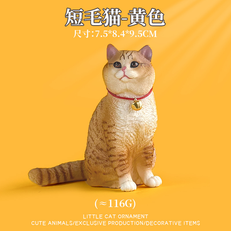 Gato de pelo corto (amarillo)