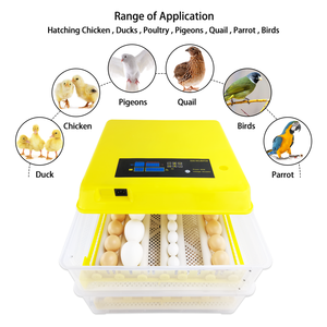 Chất lượng cao Thiết kế mới 96 mini trứng lồng ấp để bán hoàn toàn tự động điện đôi mini lồng ấp - Product Image 5