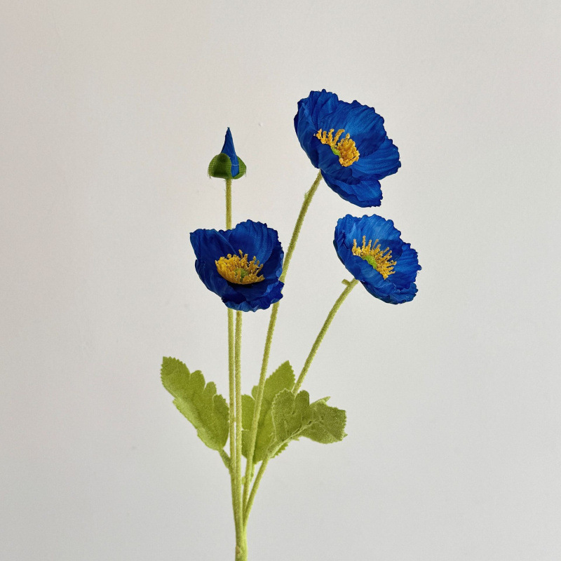 Bleu roi