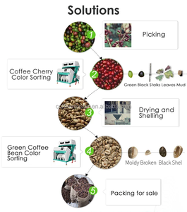 咖啡机咖啡豆/茶/小麦分拣机腰果色拣机分拣选择分离机 - Product Image 5