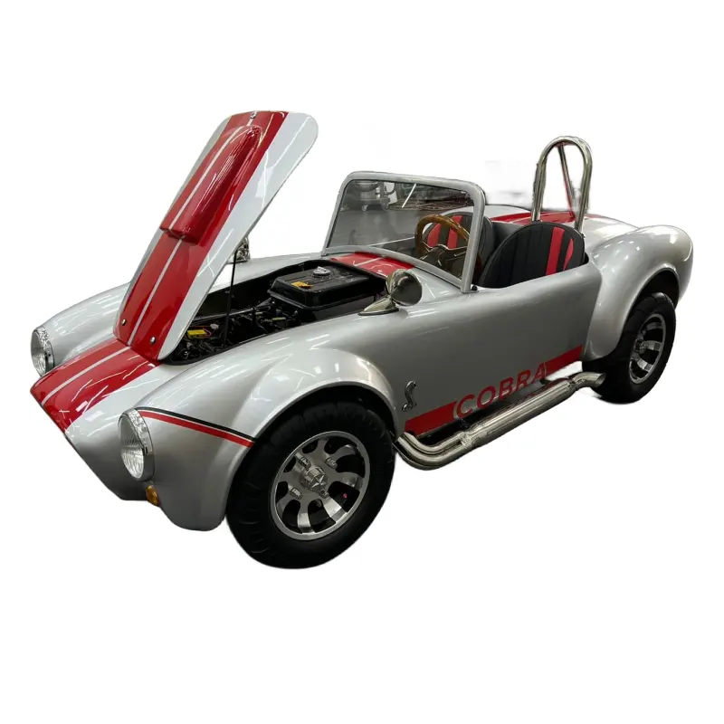 Mini voiture populaire Hotrod à essence 150CC Beetle Grand cadeau Mini voiture Cobra 150CC avec 2 places ATV Go Kart à vendre