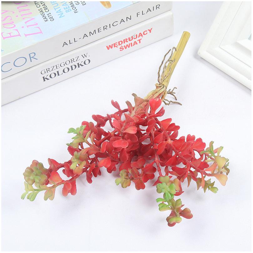 12 Mini Herbes à Monnaie Rouges 28cm 46.7g