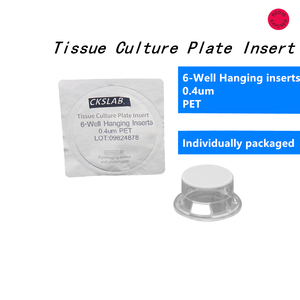 24 mm Transwell with 0.4 Um Pore Polycarbonate Membrane Insert, Sterile Individually Packaged - Product Image 2