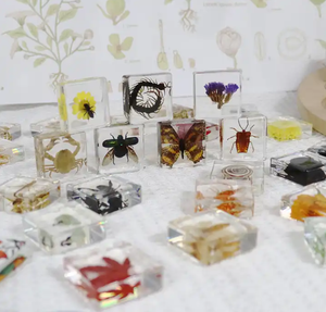 Roots <strong>Systems</strong> Plant Paperweight Taxidermy Collection <strong>Embedded</strong> in Clear Lucite Block Embedding Specimen - Product Image 4