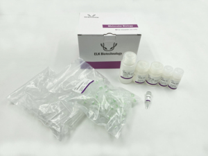 FFPE DNA ekstraksiyon kiti, araştırma kullanımı için yüksek kalite - Product Image 2