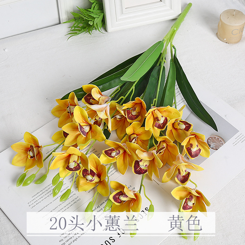 Jaune 20 petit cymbidium