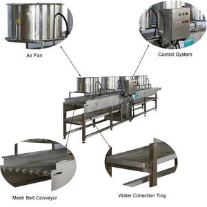 CE 1000 kg/hr Lavadora automática a presión continua Vegetal Fruta Burbuja Lavado Enjuague Secado Máquina de clasificación Línea de procesamiento - Product Image 6