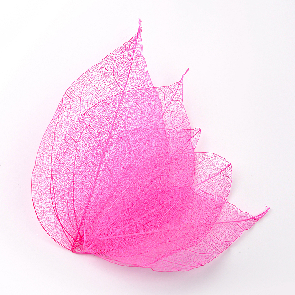Rose Red Skeleton Leaves