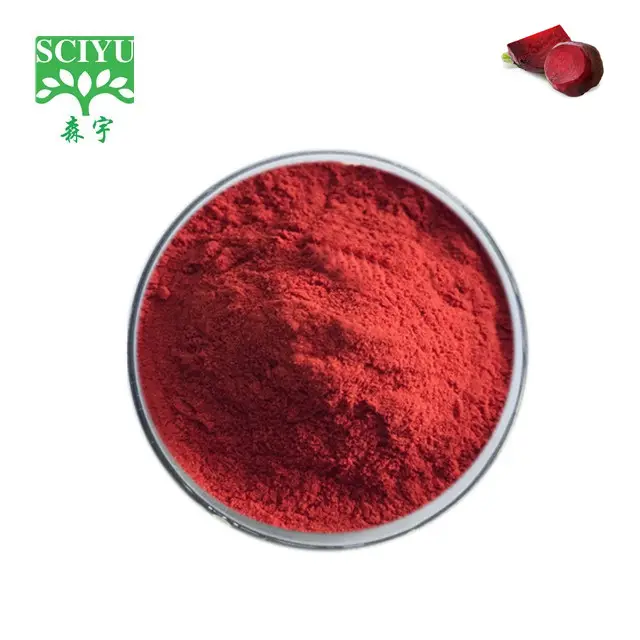 Polvere di estratto di radice di barbabietola rossa pura al 100% e polvere di succo
