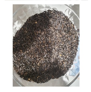 Premium Quality and Hot Selling Ethiopian Niger Seed for Wholesale - Product Image 1