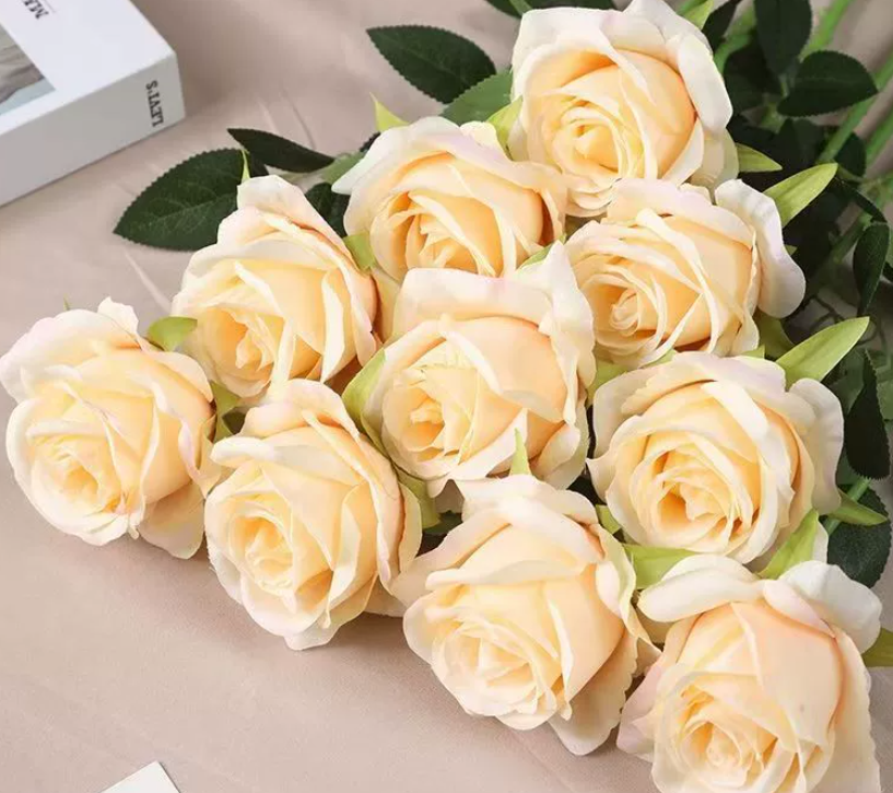 1 rosa di seta champagne