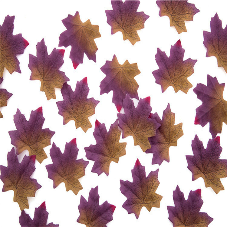 Color6