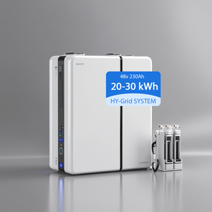 Exide Lfp太阳能电池价格提供200Ah备用电源系统锂离子电池组，用于功率脂电池循环深 - Product Image 1