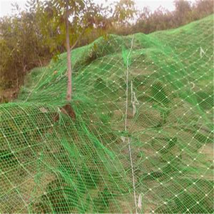 Rete di protezione da caduta con rete di protezione esagonale rinforzata con Anping - Product Image 6