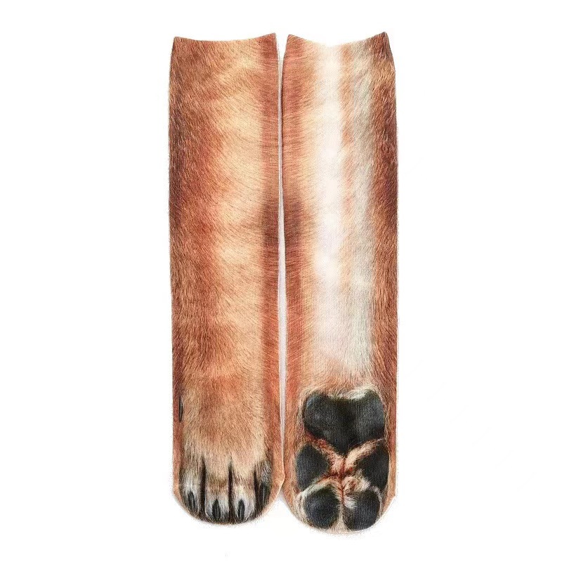 La patte du chien