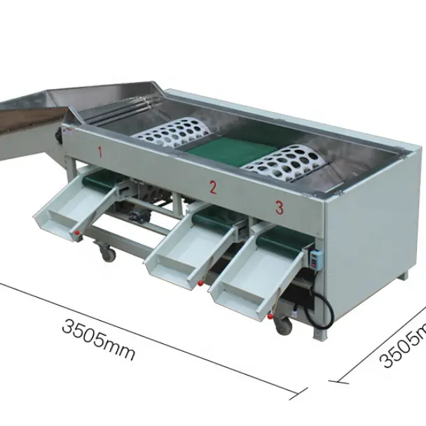 500kg-1000 kg/h mirtillo mela agrumi oliva arancia patate Avocado verdure frutta pulizia lavaggio selezionatrice prezzo