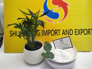 Nhà máy cung cấp TiO2 Titanium Dioxide lipophilic kỵ nước rutile Nano Titanium Dioxide CAS 13463 - Product Image 4