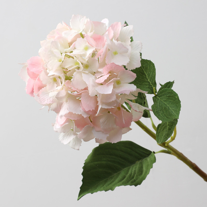 Rosa claro