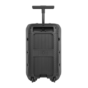 Factory Direct Selling 12 Inch Woofer 20W Digital <strong>Amplifier</strong> TWS/RGB/Bluetooth/FM Radio Mulitifuctional <strong>Portable</strong> Party Speaker - Product Image 4