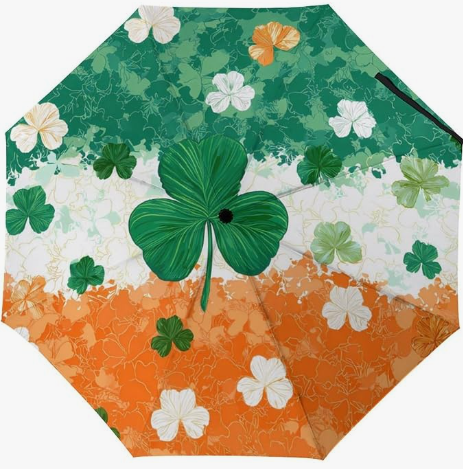 02 Irlande