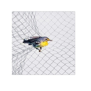 Anti-Vogel-Netz aus Polyethylen hoher Dichte/Vogel netz falle/HDPE-Anti-Vogel-Netz - Product Image 3