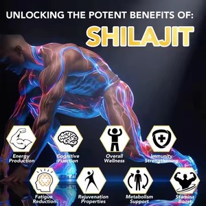 Grosir alami organik kapsul Shilajit Label pribadi Resin Shilajit murni kapsul suplemen diet kesehatan Himalaya - Product Image 5