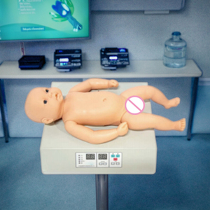 <strong>Computer</strong> Model of Infant Heart and Lung Auscultation Microcomputer Display Board - Product Image 3