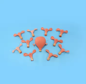 Gynecological Examination PVC Manikin Training Model Accessory Model for Abnormal Uterine <strong>Palpation</strong> Abdominal Pelvic Teaching - Product Image 5