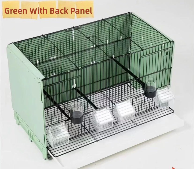 Verde con panel trasero - 4 jaulas - base no incluida