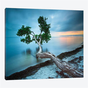 印刷帆布，艺术家绘画帆布，棉帆布 - Product Image 4