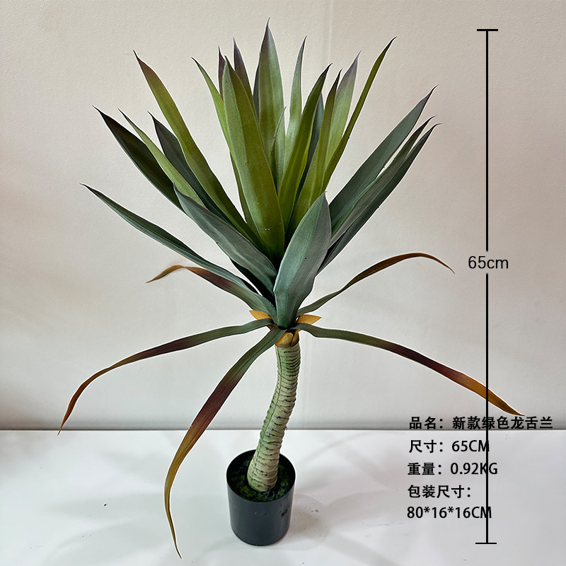 Nouvel agave vert 65cm