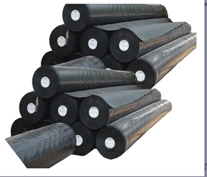 <strong>30</strong> to 60 <strong>Mil</strong> <strong>HDPE</strong> Waterproofing Liners 1mm Model for Swimming Pool Fish Pond Park Epdm Rubber Geomembrane - Product Image 4